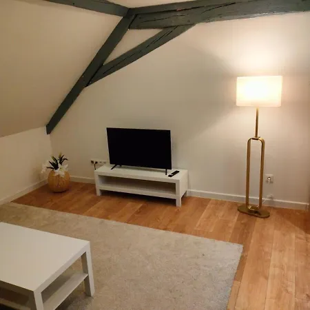 아파트 25 Min Christmas Market And Strasbourg Center-wifi-tv