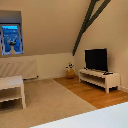 25 Min Christmas Market And Strasbourg Center-wifi-tv * 와셀론느