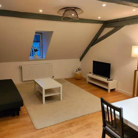 25 Min Christmas Market And Strasbourg Center-wifi-tv 와셀론느