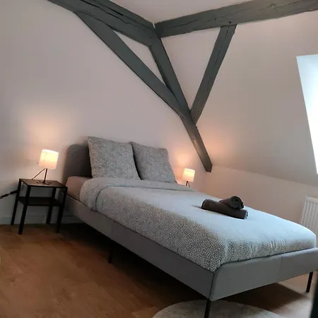 25 Min Christmas Market And Strasbourg Center-wifi-tv * 와셀론느