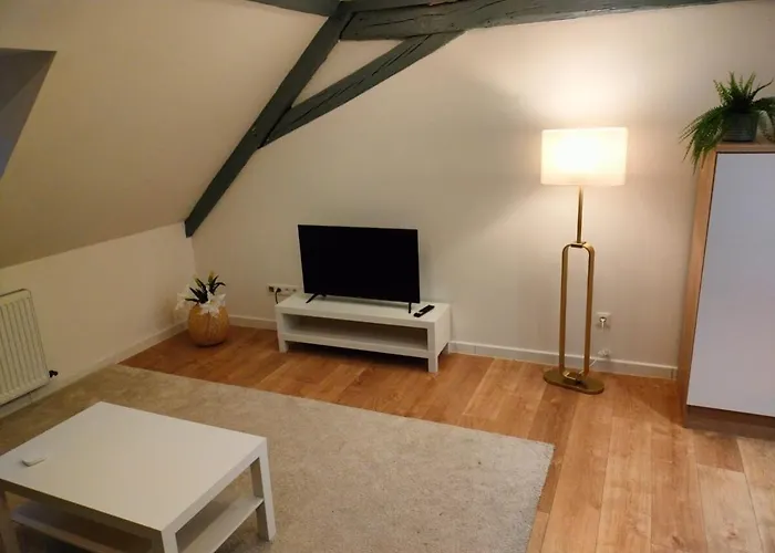 Apartment 25 Min Christmas Market And Strasbourg Center-wifi-tv