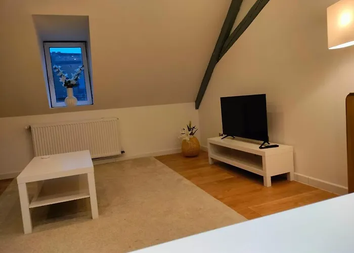 25 Min Christmas Market And Strasbourg Center-wifi-tv * Wasselonne