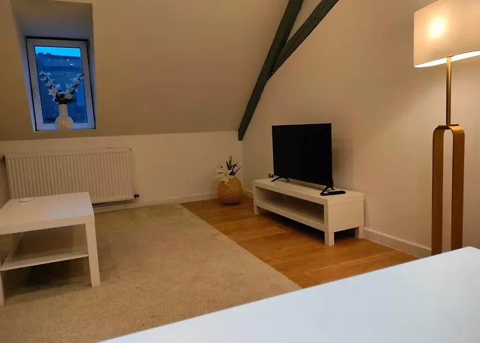 25 Min Christmas Market And Strasbourg Center-wifi-tv Wasselonne