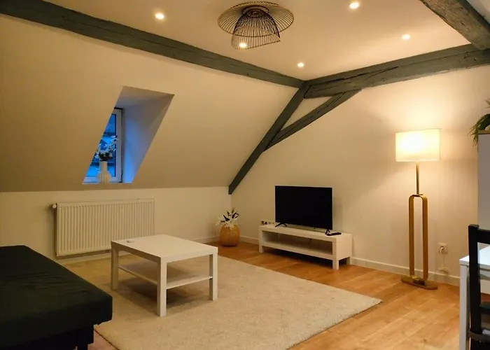 Apartment 25 Min Christmas Market And Strasbourg Center-wifi-tv Wasselonne