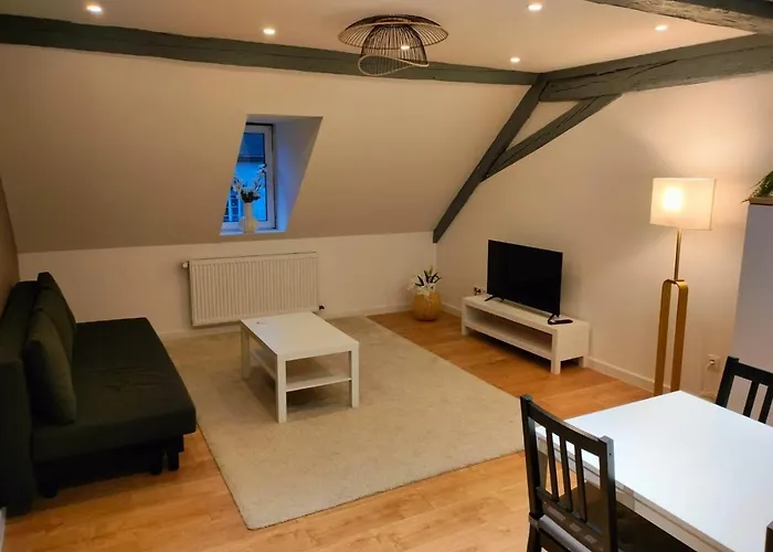 25 Min Christmas Market And Strasbourg Center-wifi-tv Wasselonne