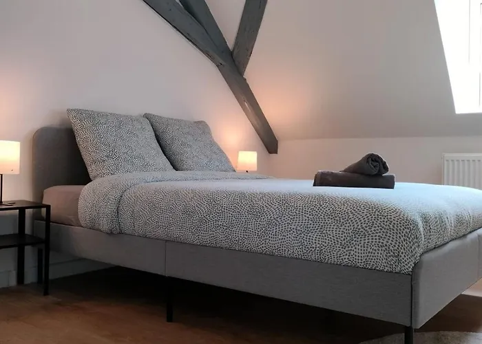 Apartment 25 Min Christmas Market And Strasbourg Center-wifi-tv