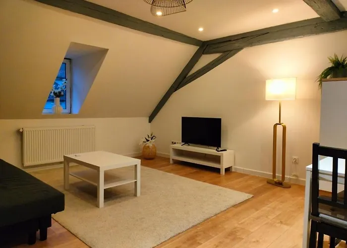 Apartment 25 Min Christmas Market And Strasbourg Center-wifi-tv *