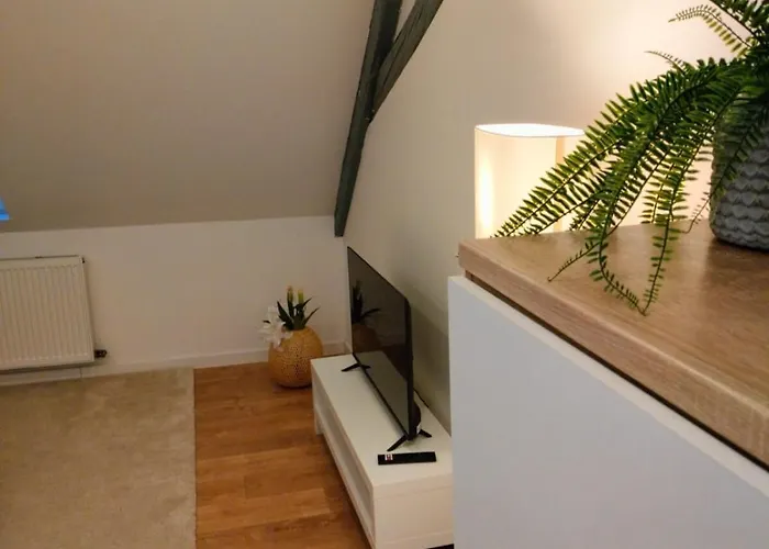 25 Min Christmas Market And Strasbourg Center-wifi-tv Apartment *