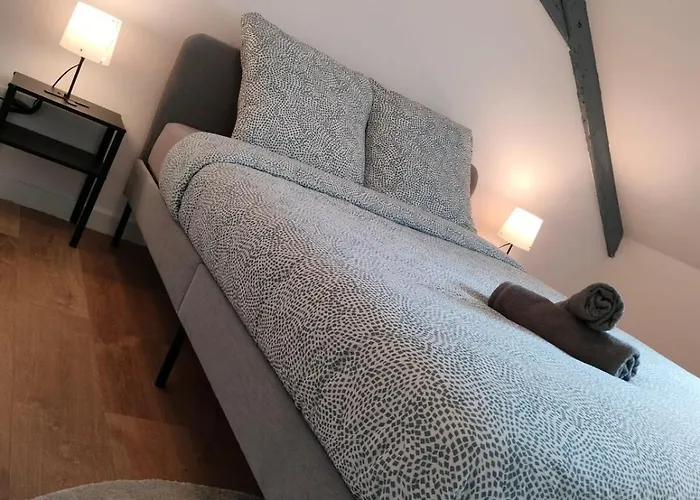25 Min Christmas Market And Strasbourg Center-wifi-tv Apartment *