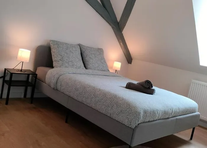 25 Min Christmas Market And Strasbourg Center-wifi-tv Apartment Wasselonne