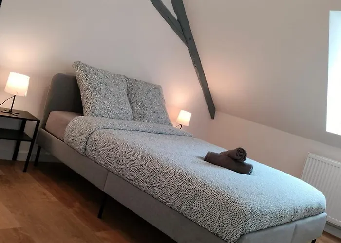 25 Min Christmas Market And Strasbourg Center-wifi-tv